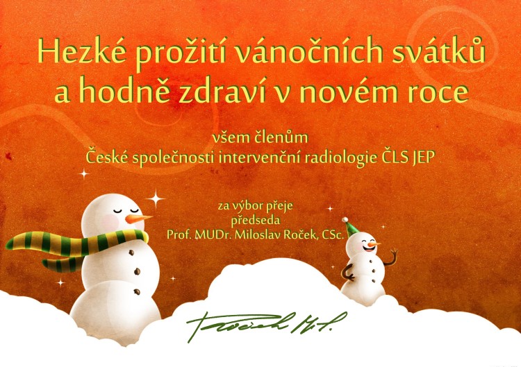 Výbor CSIR přeje členům společnosti příjemné prožití vánočních svátků a mnoho úspěchů v následujícím roce